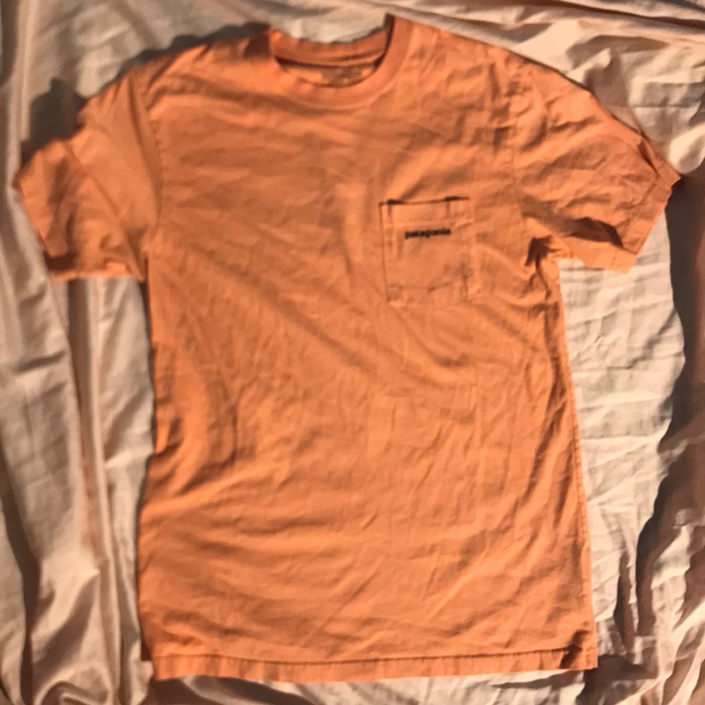 Patagonia tee